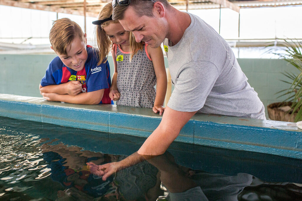 Huka Prawn Park - Taupo - Behind the scenes tour - Feed Baby Prawns